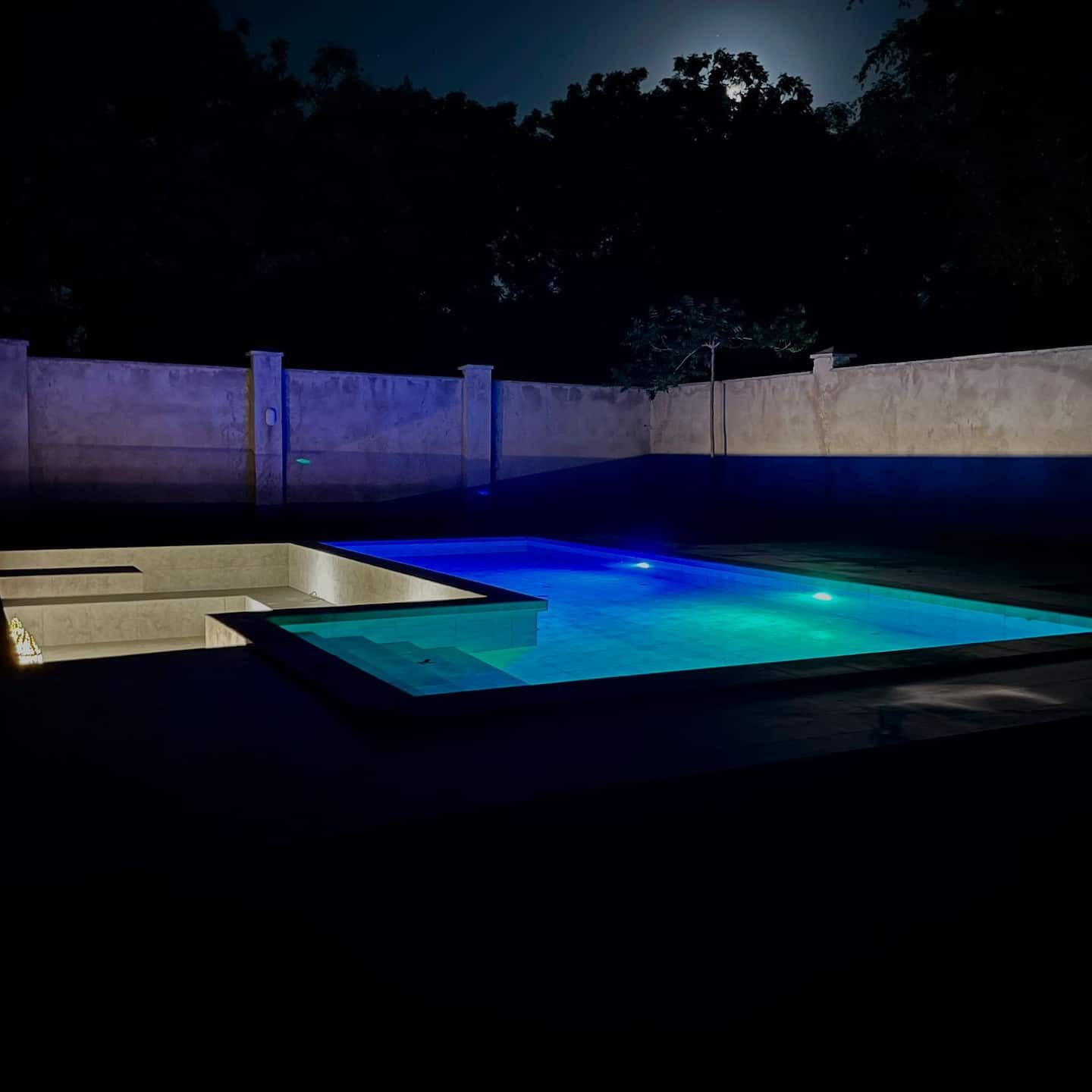 Jandi Diani — photo 4