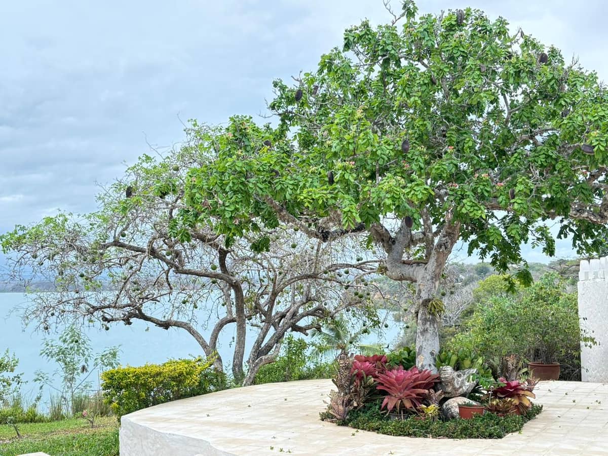 Marijani Villa, 3BR — photo 32