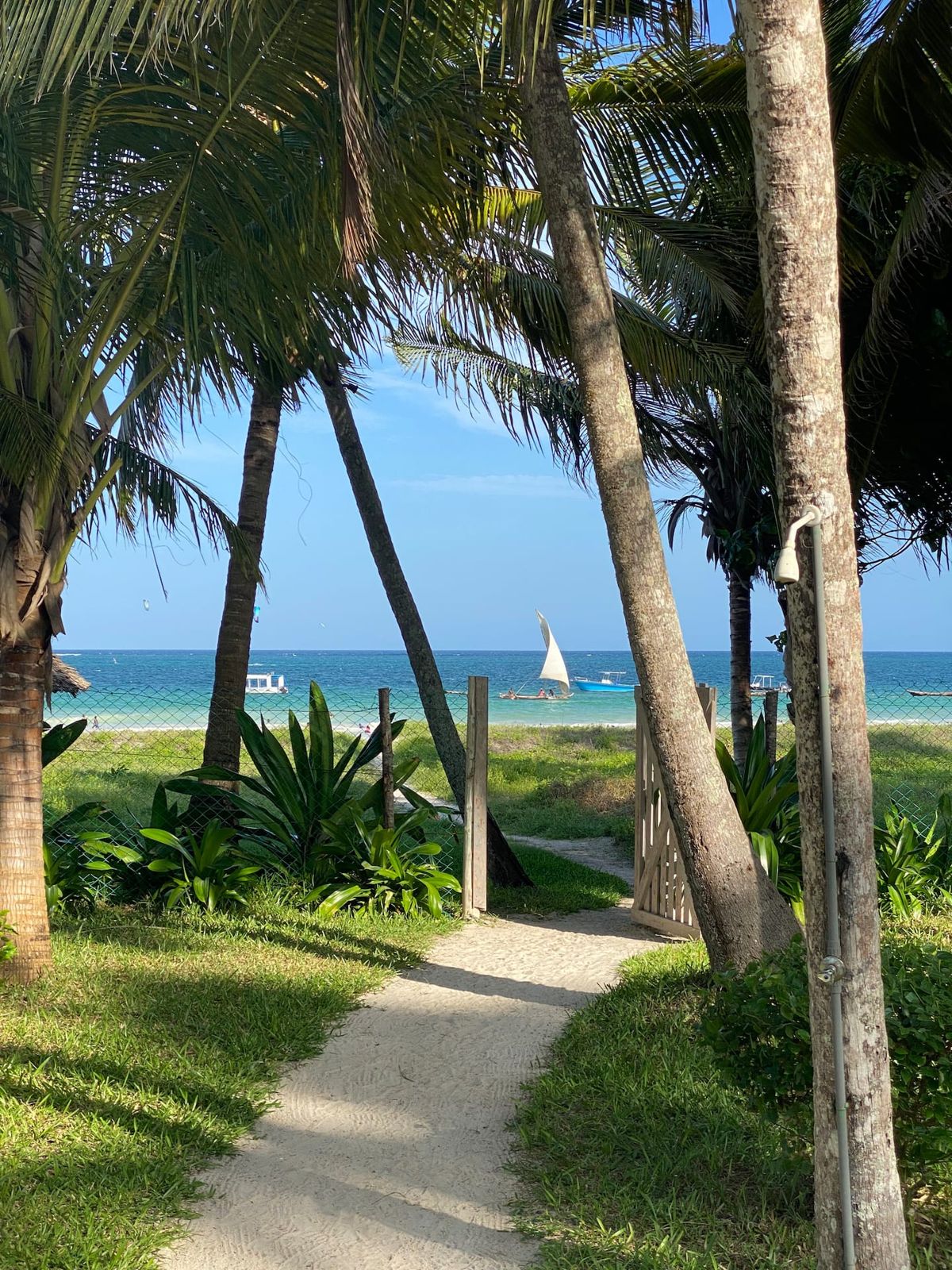 Dolphin House Galu Beach — photo 45