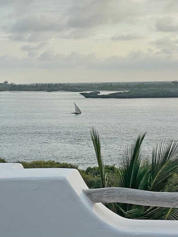 Kusini House, 6BR Beachfront — photo 10