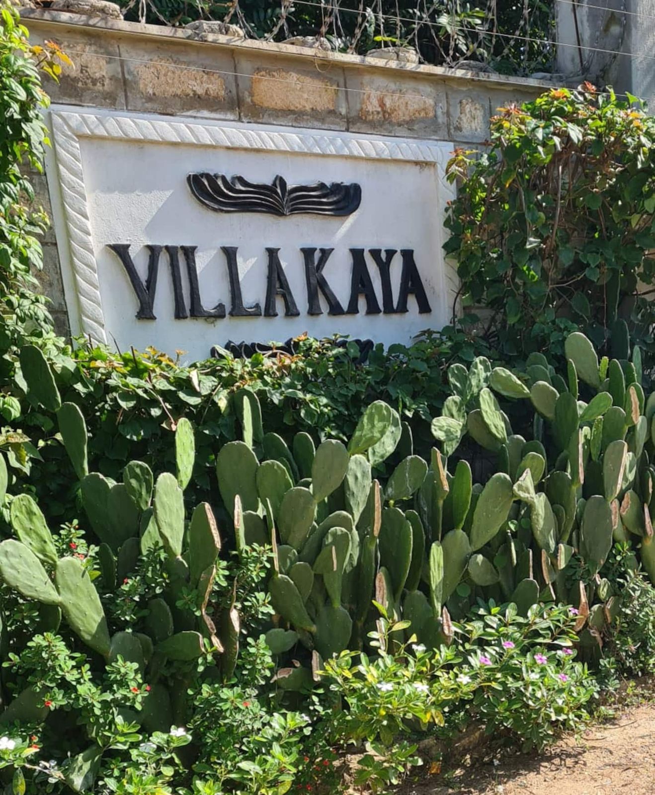 Villa Kaya — photo 30