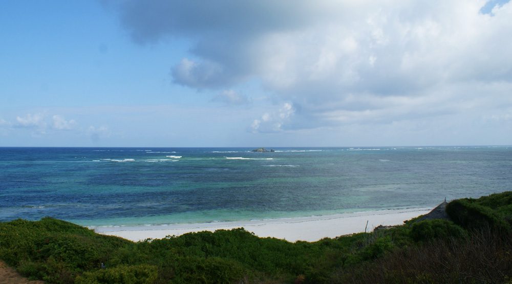 Paradise Found, 5BR Beachfront — photo 6