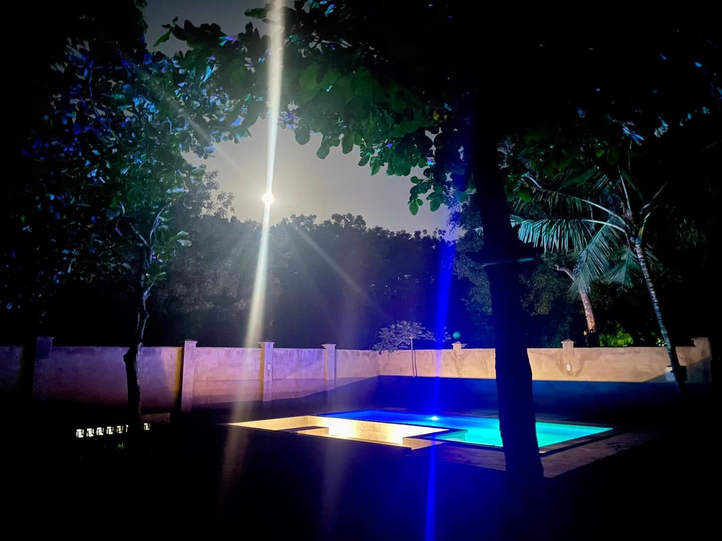 Jandi Diani — photo 32