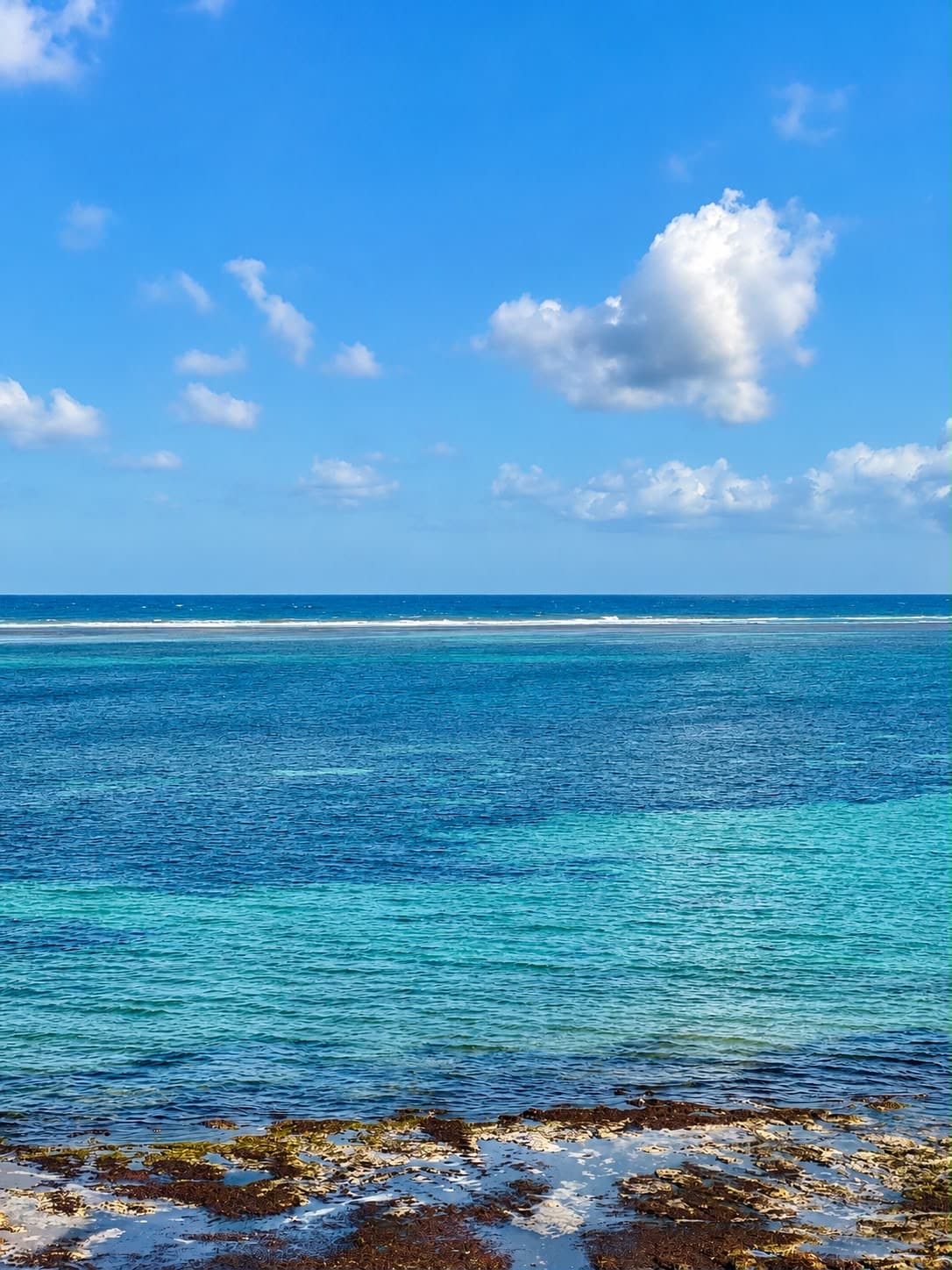 Luxury 3BR Beachfront Escape — photo 52