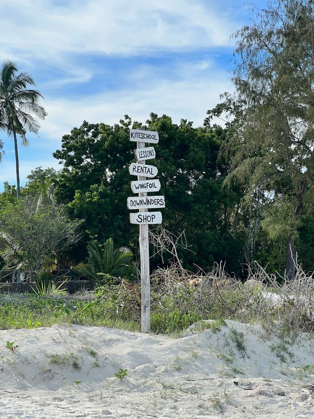 The Ape Escape — photo 115