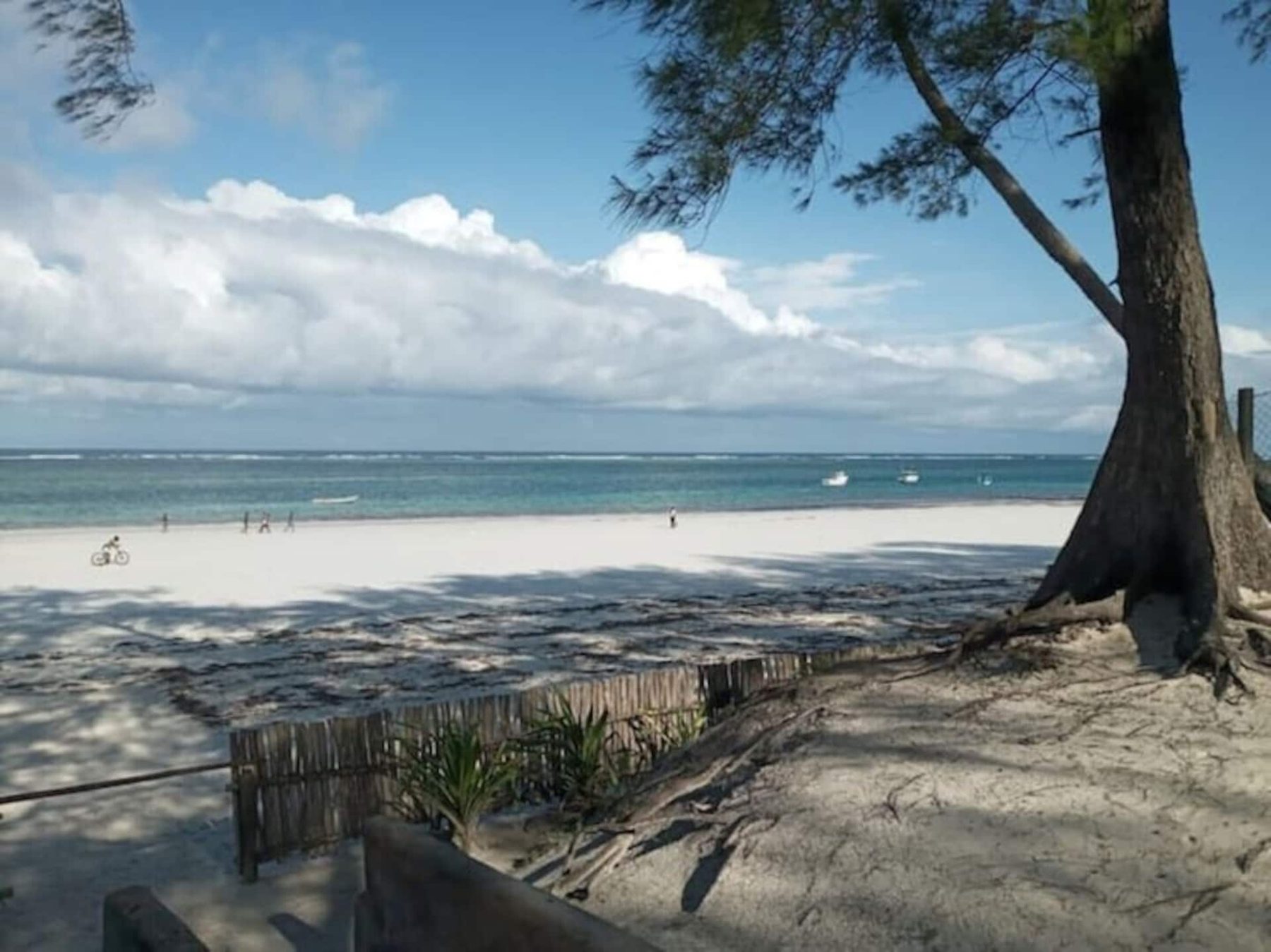 Ocean Villa Luxury 9BR Beachfront — photo 43