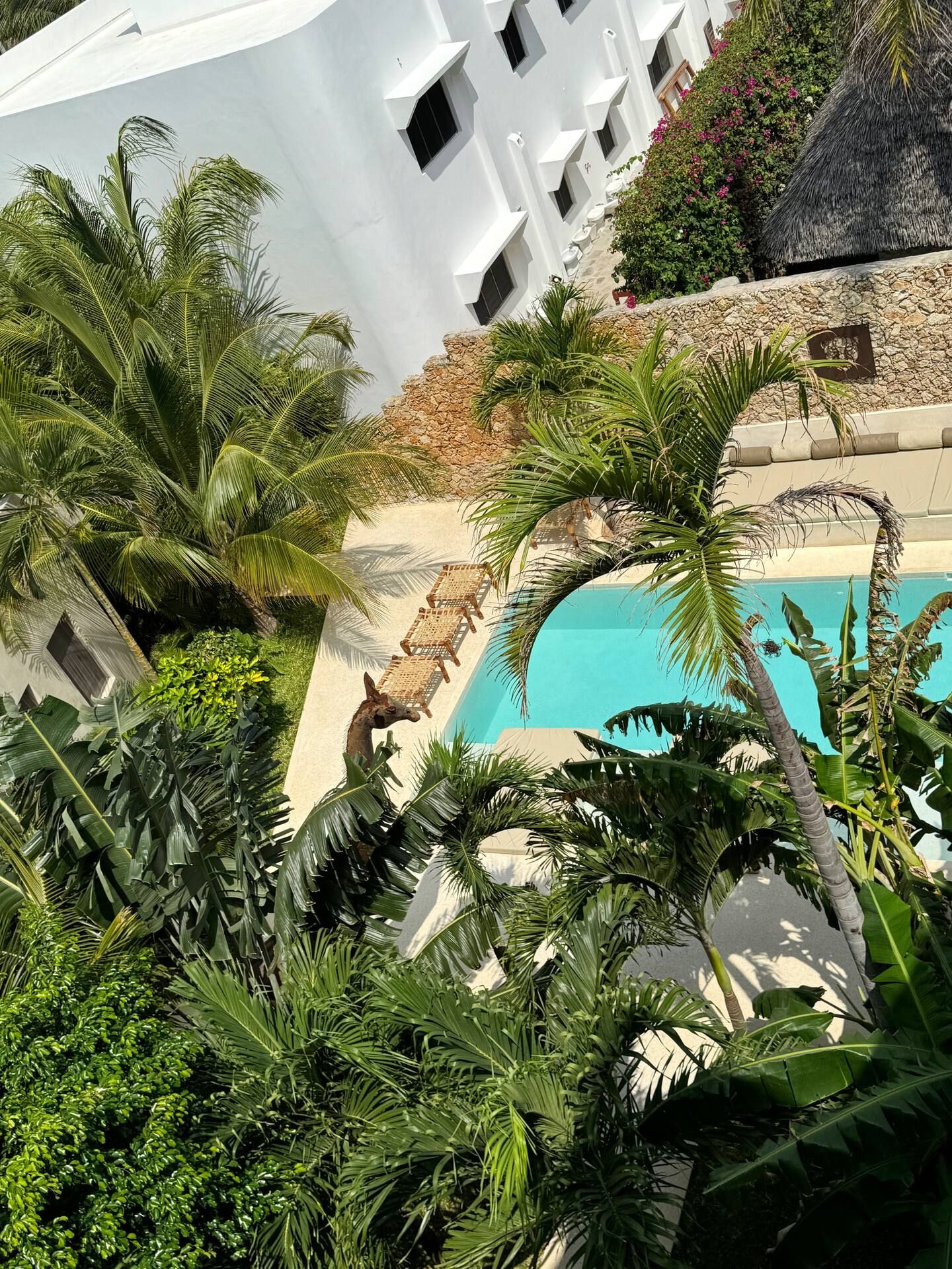 Frangipani Penthouse — photo 37