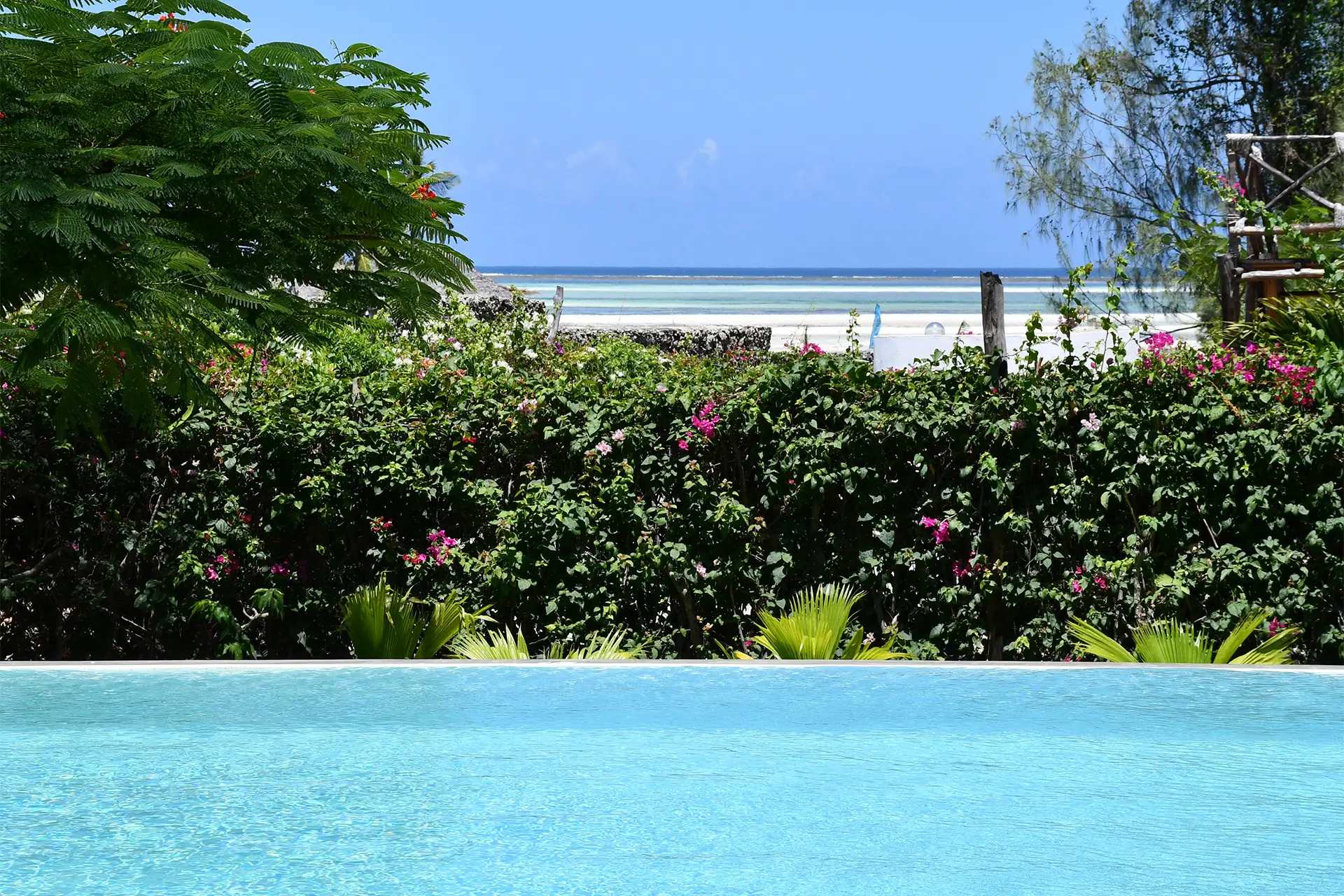 Maji Villa — photo 11