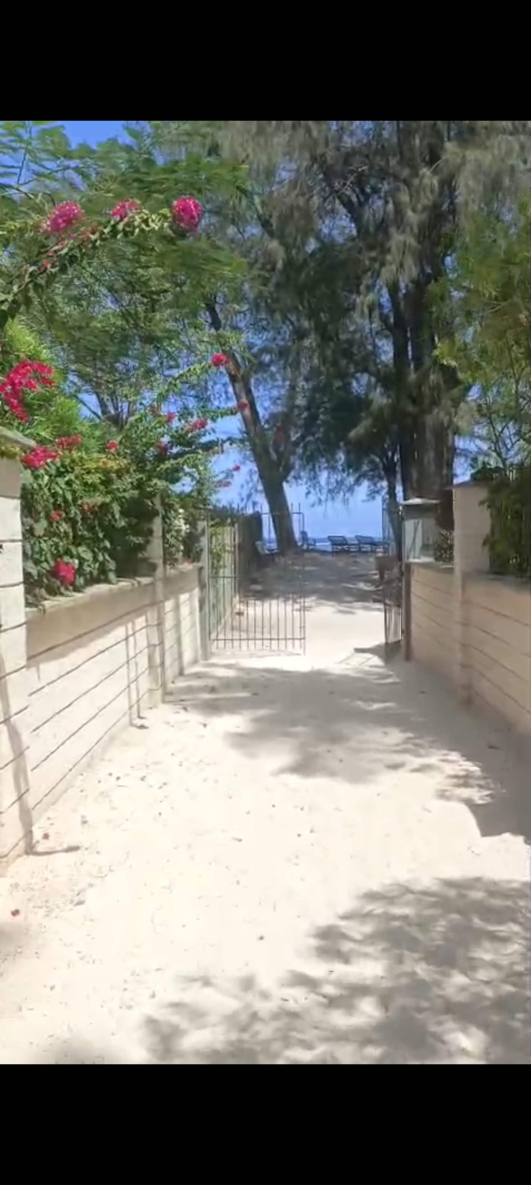 Ocean Villa Luxury 9BR Beachfront — photo 88