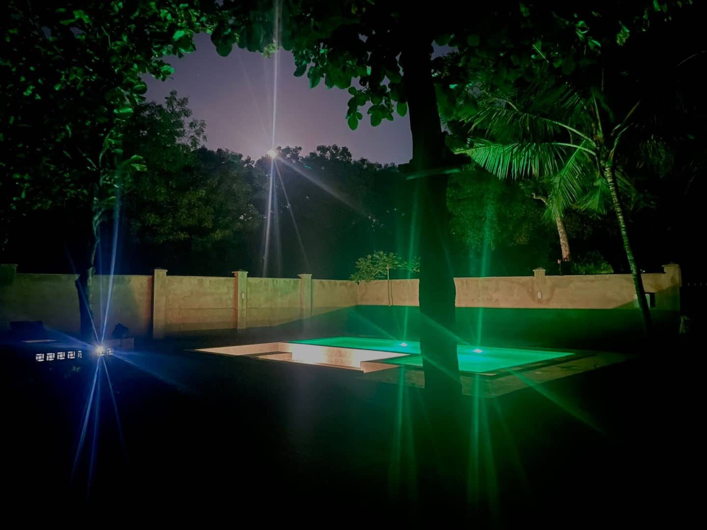 Jandi Diani — photo 2