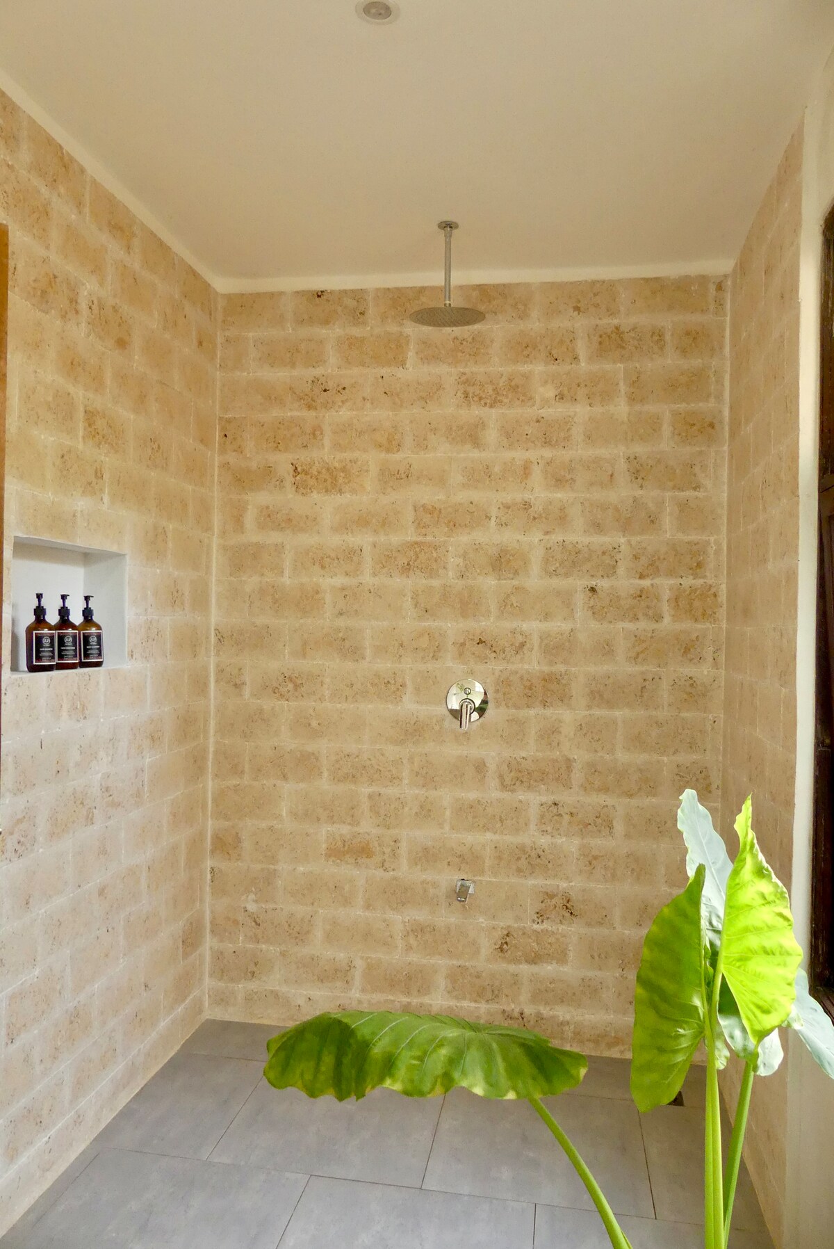 Plunge Pool Suite, 1BR — photo 6