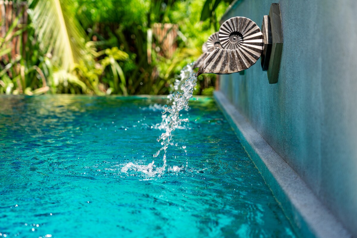 Pandanas Beach Villa — photo 58