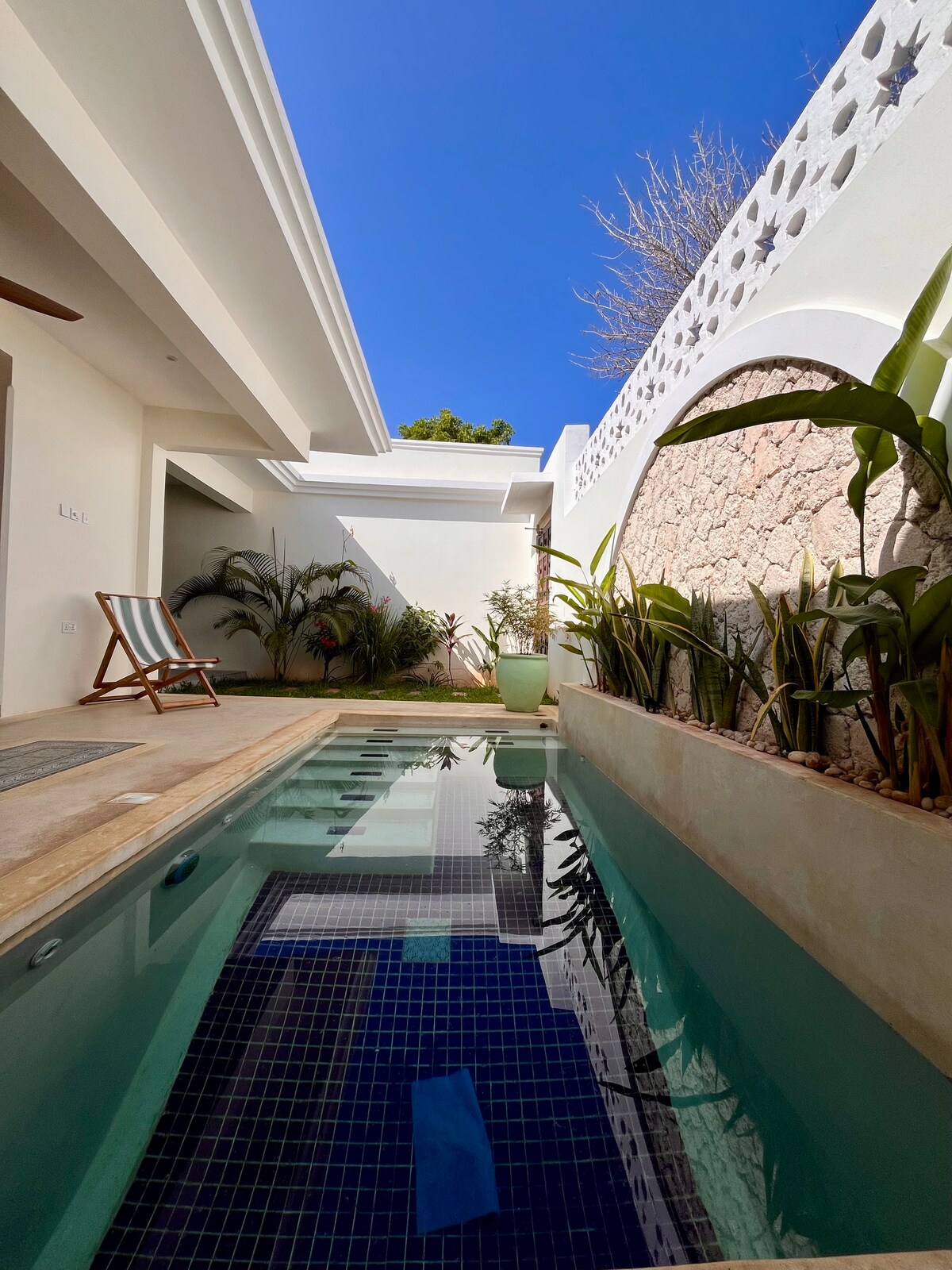 Plunge Pool Suite, 1BR — photo 19