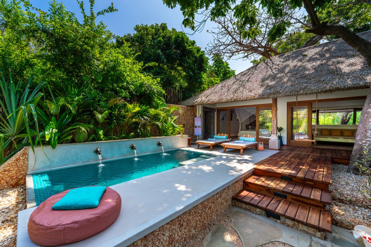 Pandanas Beach Villa — photo 60