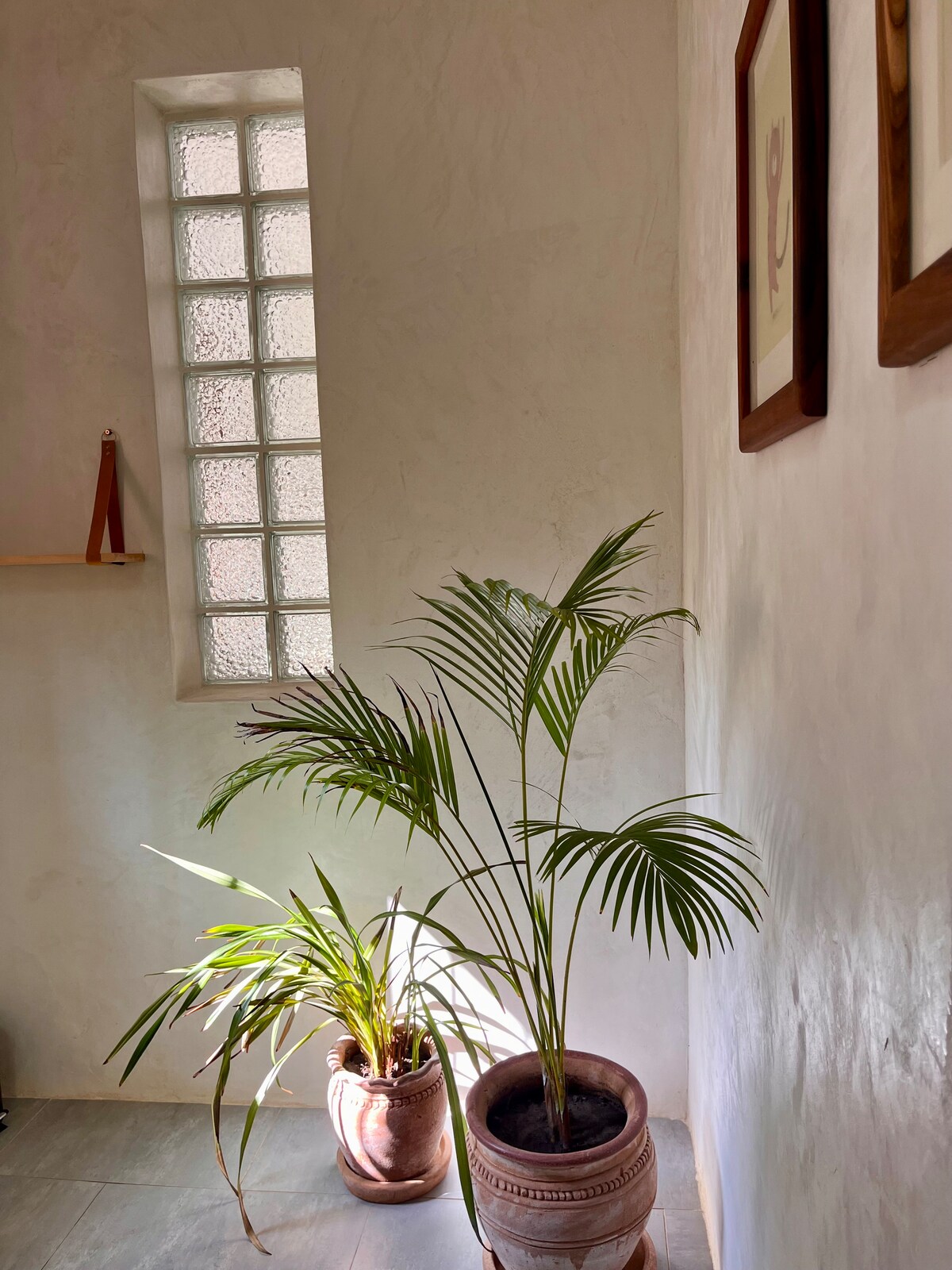 Plunge Pool Suite, 1BR — photo 12