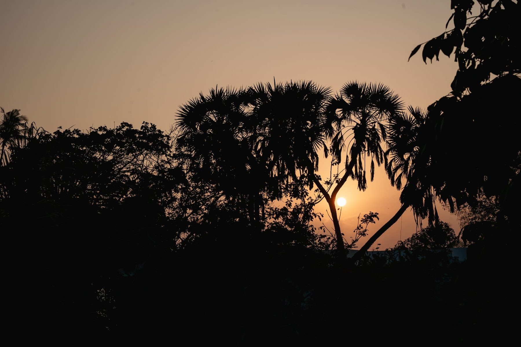 Maua Beach House — photo 80