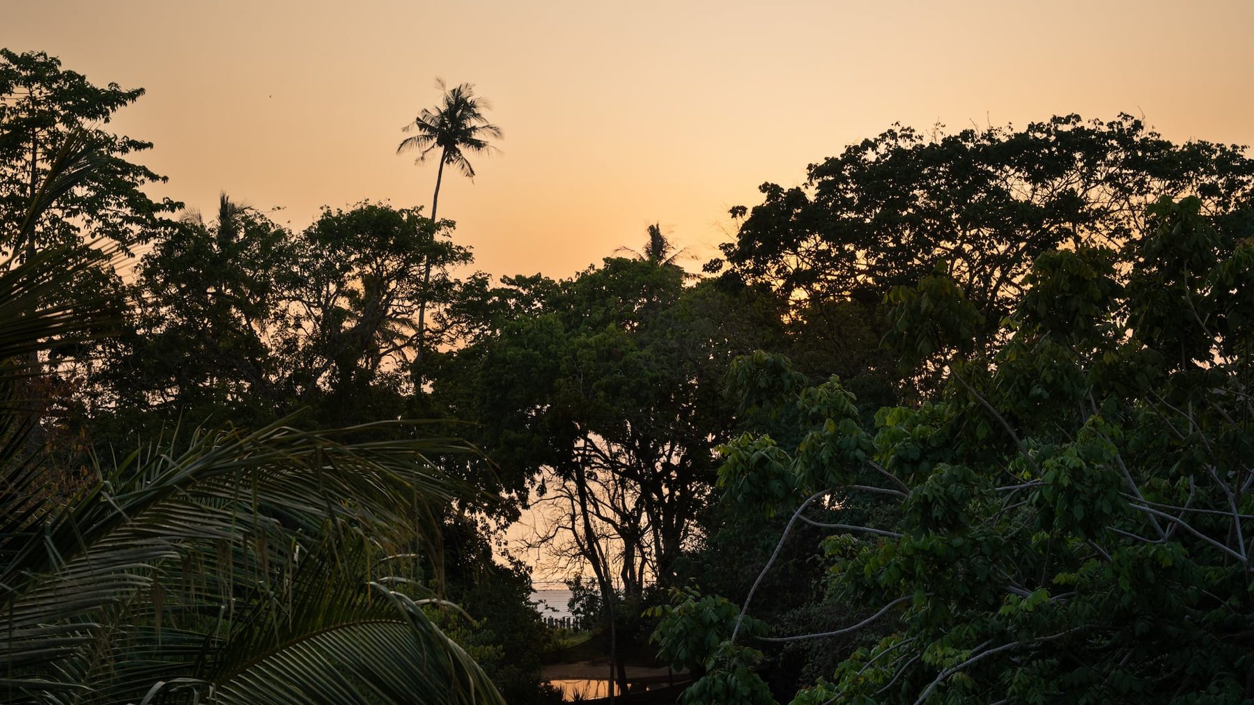 Maua Beach House — photo 10