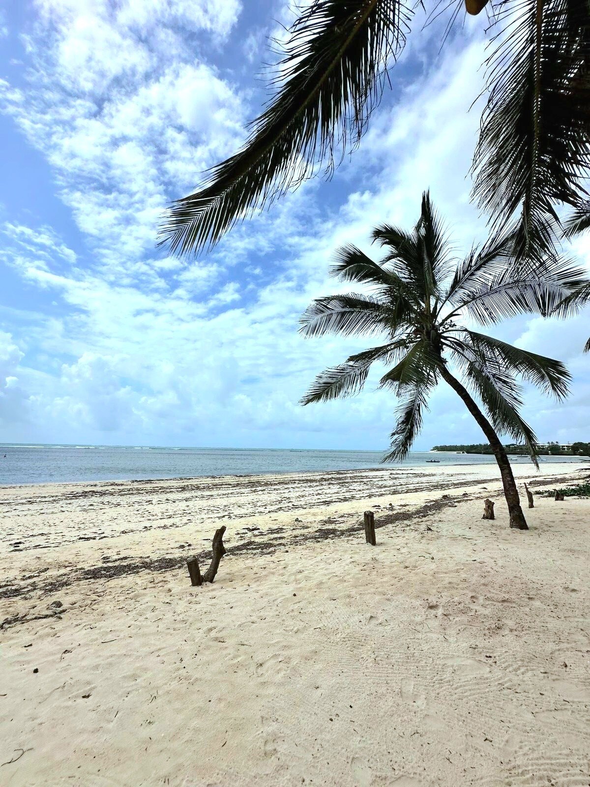 Jumeirah Palms Resort Beachfront, 3BR — photo 69