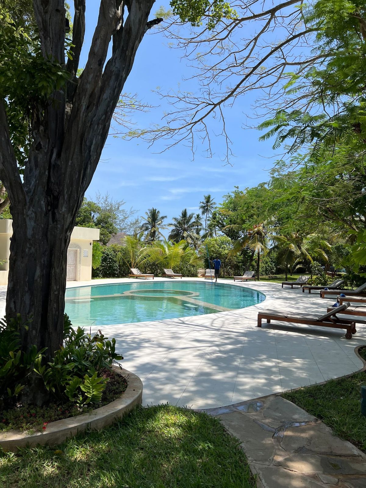 Dolphin House Galu Beach — photo 38