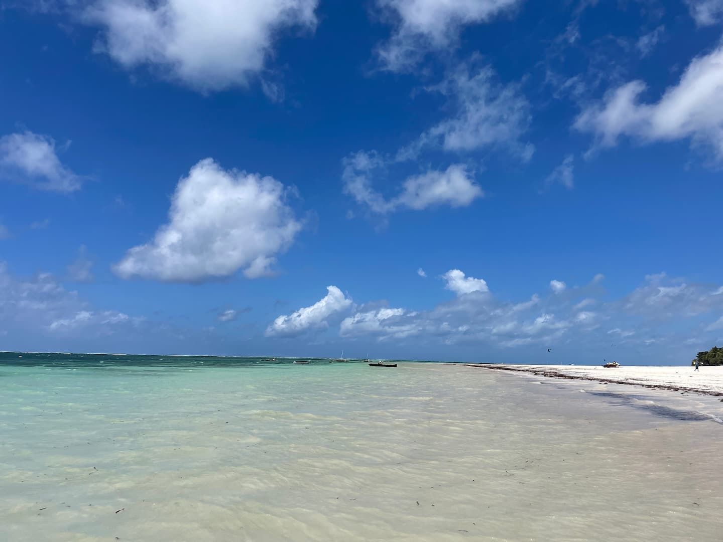 Dolphin House Galu Beach — photo 15