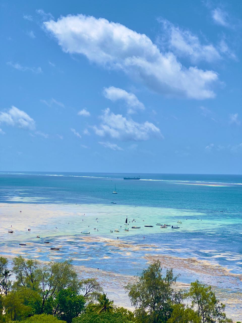 Nyali, Seaside Escape — photo 5