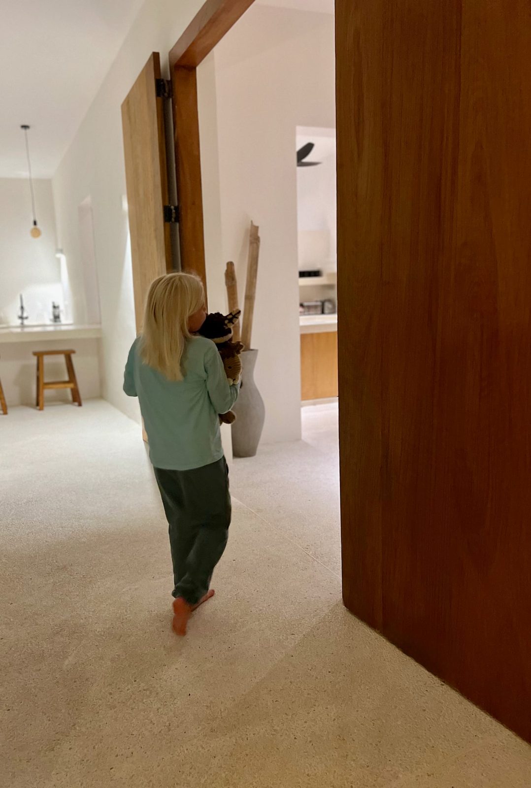 The Ape Escape — photo 60