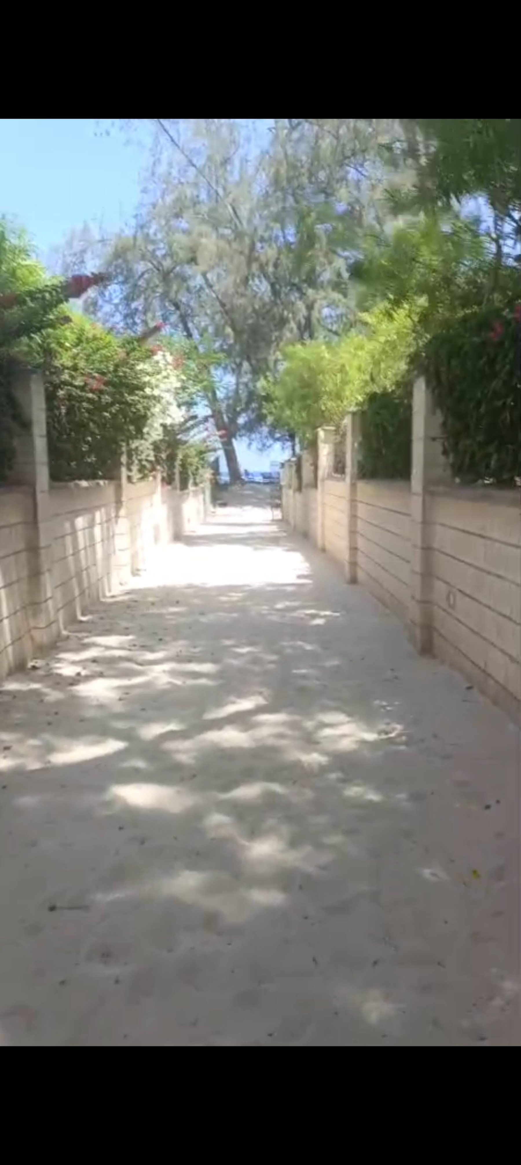 Ocean Villa Luxury 9BR Beachfront — photo 83