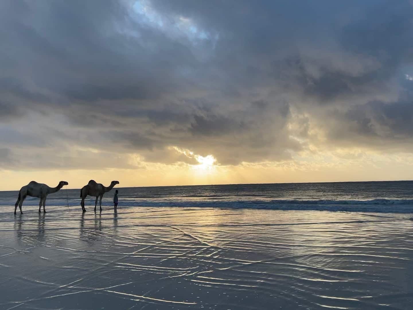Dolphin House Galu Beach — photo 9