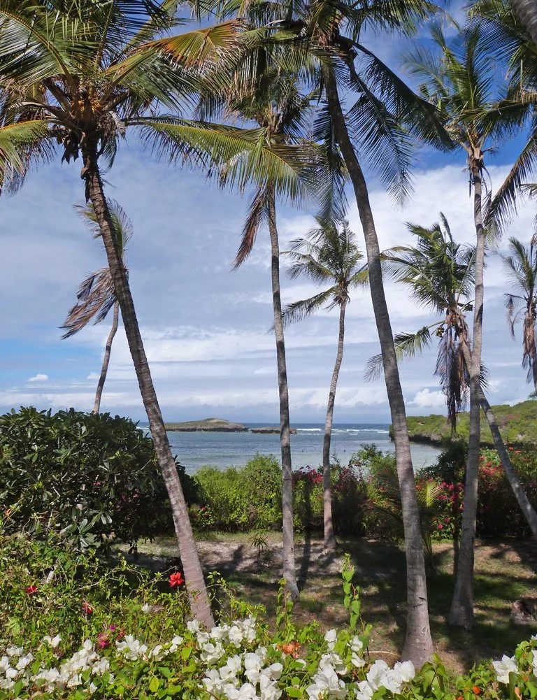 Blue Bay Beach House, 5BR Beachfront — photo 27